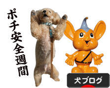 にほんブログ村 犬ブログへ