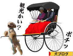 にほんブログ村 犬ブログへ