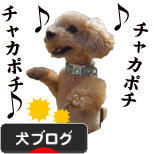 にほんブログ村 犬ブログへ