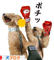 にほんブログ村 犬ブログへ