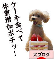 にほんブログ村 犬ブログへ