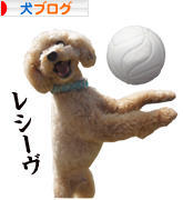 にほんブログ村 犬ブログへ