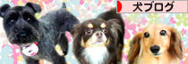 にほんブログ村 犬ブログへ