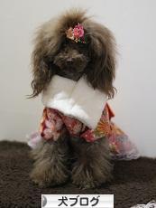 にほんブログ村 犬ブログへ