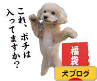 にほんブログ村 犬ブログへ