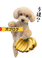 にほんブログ村 犬ブログへ