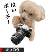 にほんブログ村 犬ブログへ