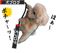 にほんブログ村 犬ブログへ