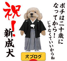 にほんブログ村 犬ブログへ