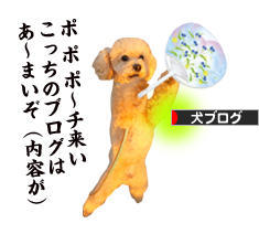 にほんブログ村 犬ブログへ