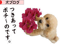 にほんブログ村 犬ブログへ
