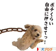にほんブログ村 犬ブログへ