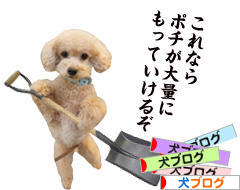 にほんブログ村 犬ブログへ