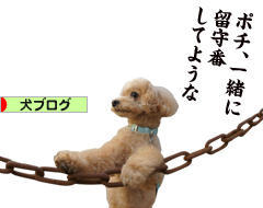 にほんブログ村 犬ブログへ