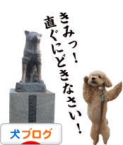 にほんブログ村 犬ブログへ