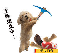 にほんブログ村 犬ブログへ