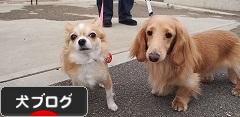 にほんブログ村 犬ブログへ