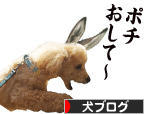 にほんブログ村 犬ブログへ