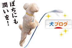 にほんブログ村 犬ブログへ