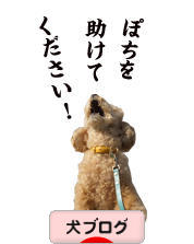 にほんブログ村 犬ブログへ