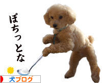 にほんブログ村 犬ブログへ