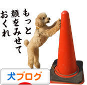 にほんブログ村 犬ブログへ
