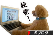 にほんブログ村 犬ブログへ