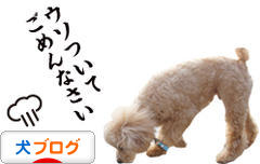 にほんブログ村 犬ブログへ