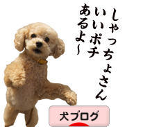 にほんブログ村 犬ブログへ