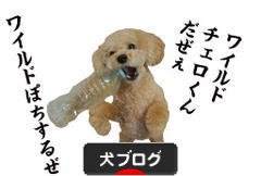 にほんブログ村 犬ブログへ