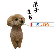 にほんブログ村 犬ブログへ