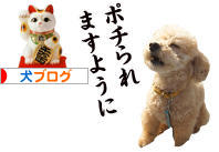 にほんブログ村 犬ブログへ