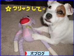 にほんブログ村 犬ブログへ