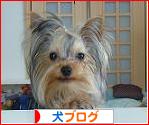 にほんブログ村 犬ブログへ