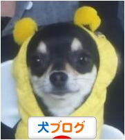 にほんブログ村 犬ブログへ