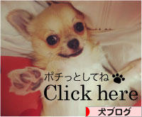 にほんブログ村 犬ブログへ