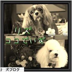 にほんブログ村 犬ブログへ