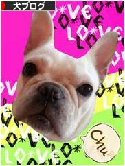 にほんブログ村 犬ブログへ
