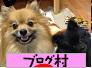 にほんブログ村 犬ブログへ