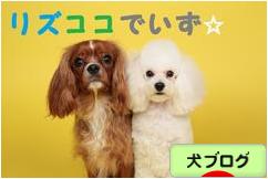 にほんブログ村 犬ブログへ