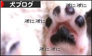 にほんブログ村 犬ブログへ