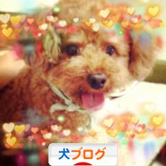 にほんブログ村 犬ブログへ