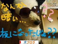 にほんブログ村 犬ブログへ