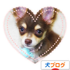 にほんブログ村 犬ブログへ