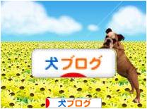 にほんブログ村 犬ブログへ