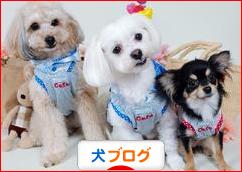 にほんブログ村 犬ブログへ