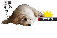 にほんブログ村 犬ブログへ
