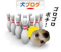 にほんブログ村 犬ブログへ