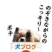 にほんブログ村 犬ブログへ