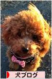 にほんブログ村 犬ブログへ